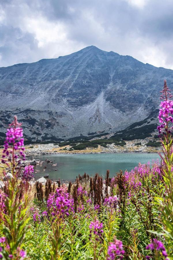 Borovets Gardens B30 Morunov Apart المظهر الخارجي الصورة